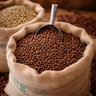 Çekirdek Kahve